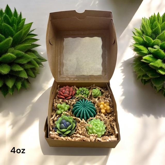 Succulent Wax Melts for Warmers  Shaped Wax Pieces Succulents Cacti Soy Wax Succulents Scented Succulents Handmade Soy Wax Melts