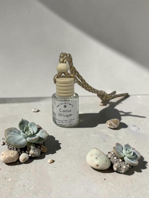 Hanging Fragrance Diffuser