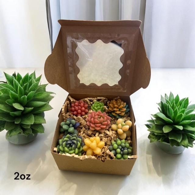 Succulent Wax Melts for Warmers  Shaped Wax Pieces Succulents Cacti Soy Wax Succulents Scented Succulents Handmade Soy Wax Melts