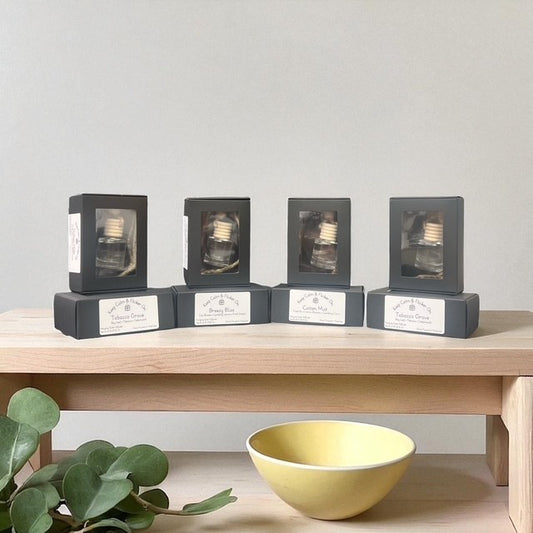 Hanging Car Diffuser | Fragrance Air Freshener